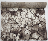 Sophia 6467 Beige Shag Rug