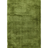 Shaggy Green Rug