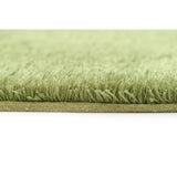 Shaggy Green Rug